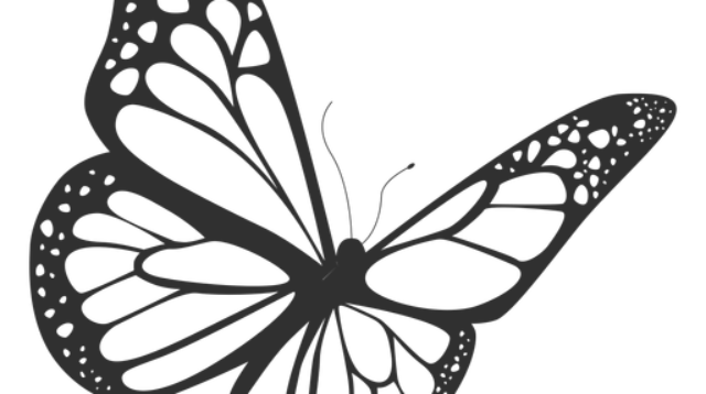 856d235314340397cb3d9f1d26caa004 monarch butterfly flying silhouette by vexels