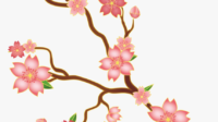 10 101889 svg library stock cherry blossoms clipart cherry blossom