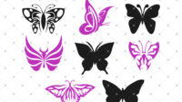 Butterflies inter new 1024x1024