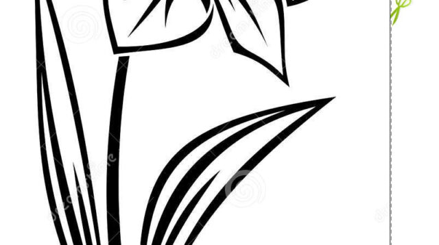 daffodil flower clip art black silhouette narcissus flower 29668944