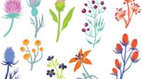 free wildflower 2 vectors