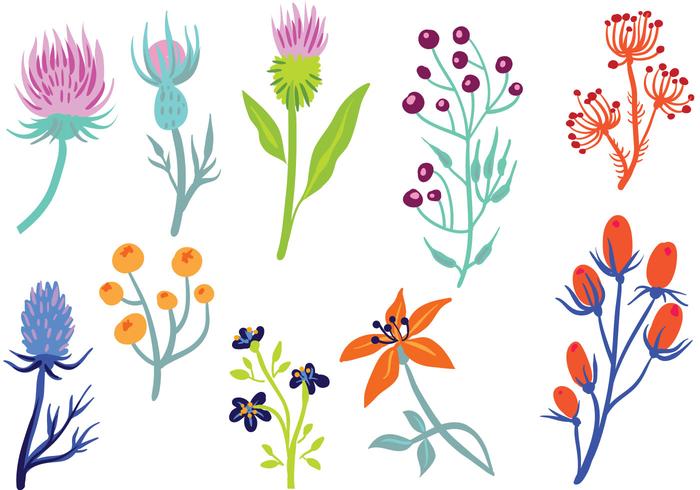 free wildflower 2 vectors