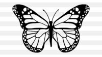 handdrawnbutterly svg main