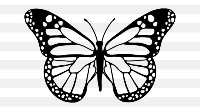 handdrawnbutterly svg main