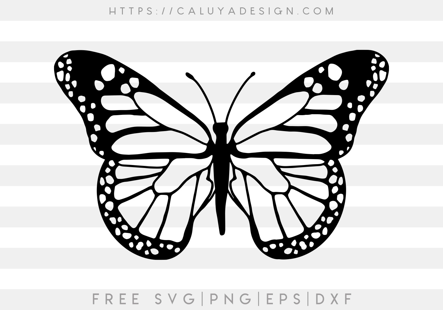 handdrawnbutterly svg main