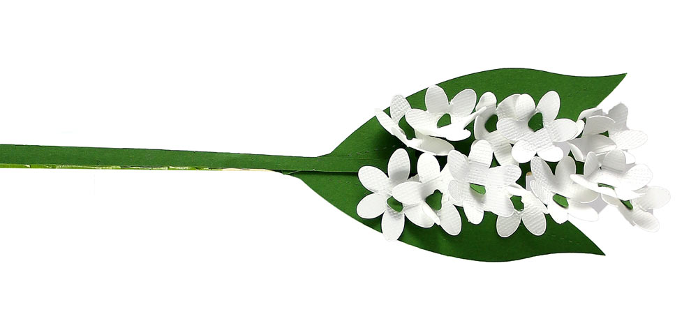 lily of the valley svg 6