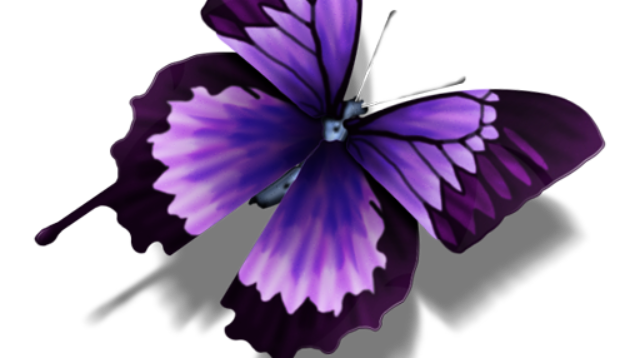 purple butterfly png image