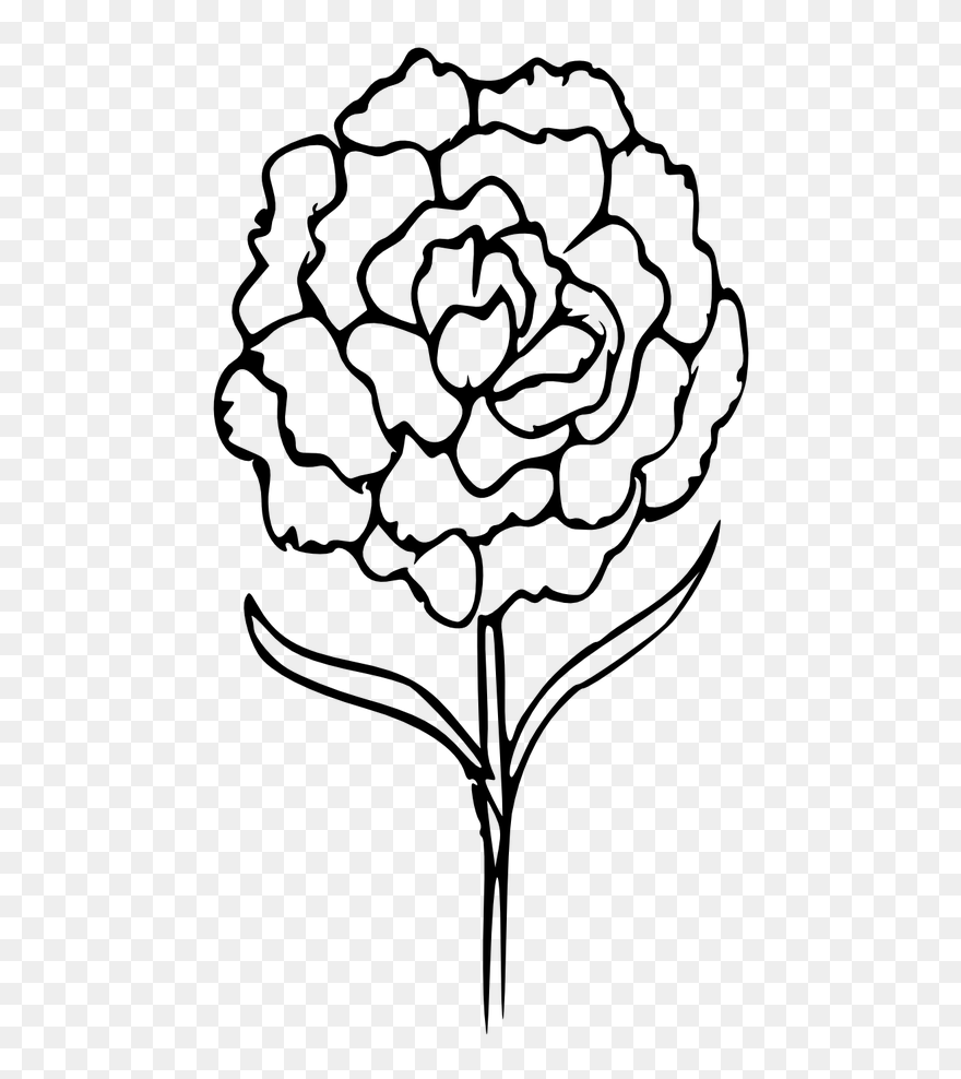 538 5382840 transparent carnation clip art outline of carnation tattoo