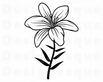 lily clipart svg 1