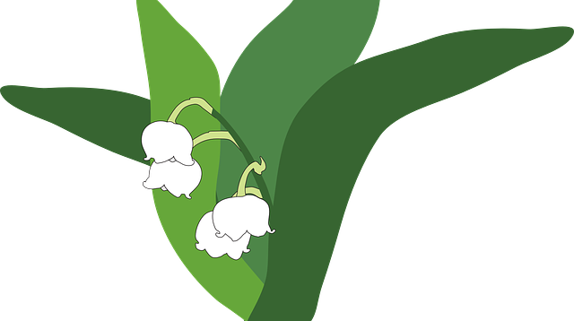 lily of the valley svg 10