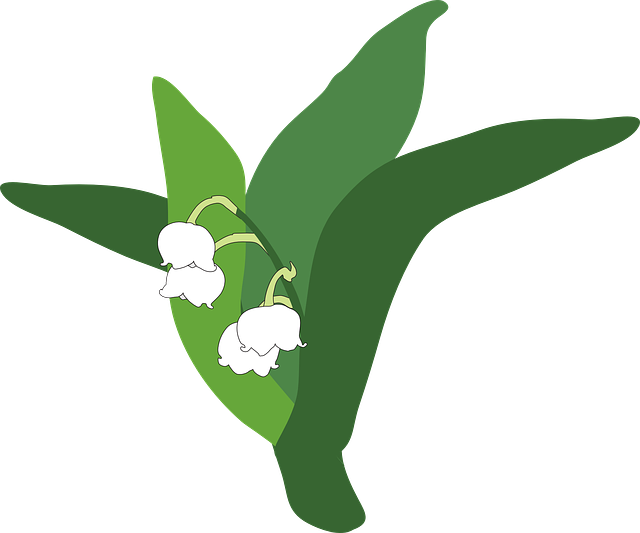 lily of the valley svg 10