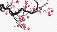 cherry blossom silhouette png 24